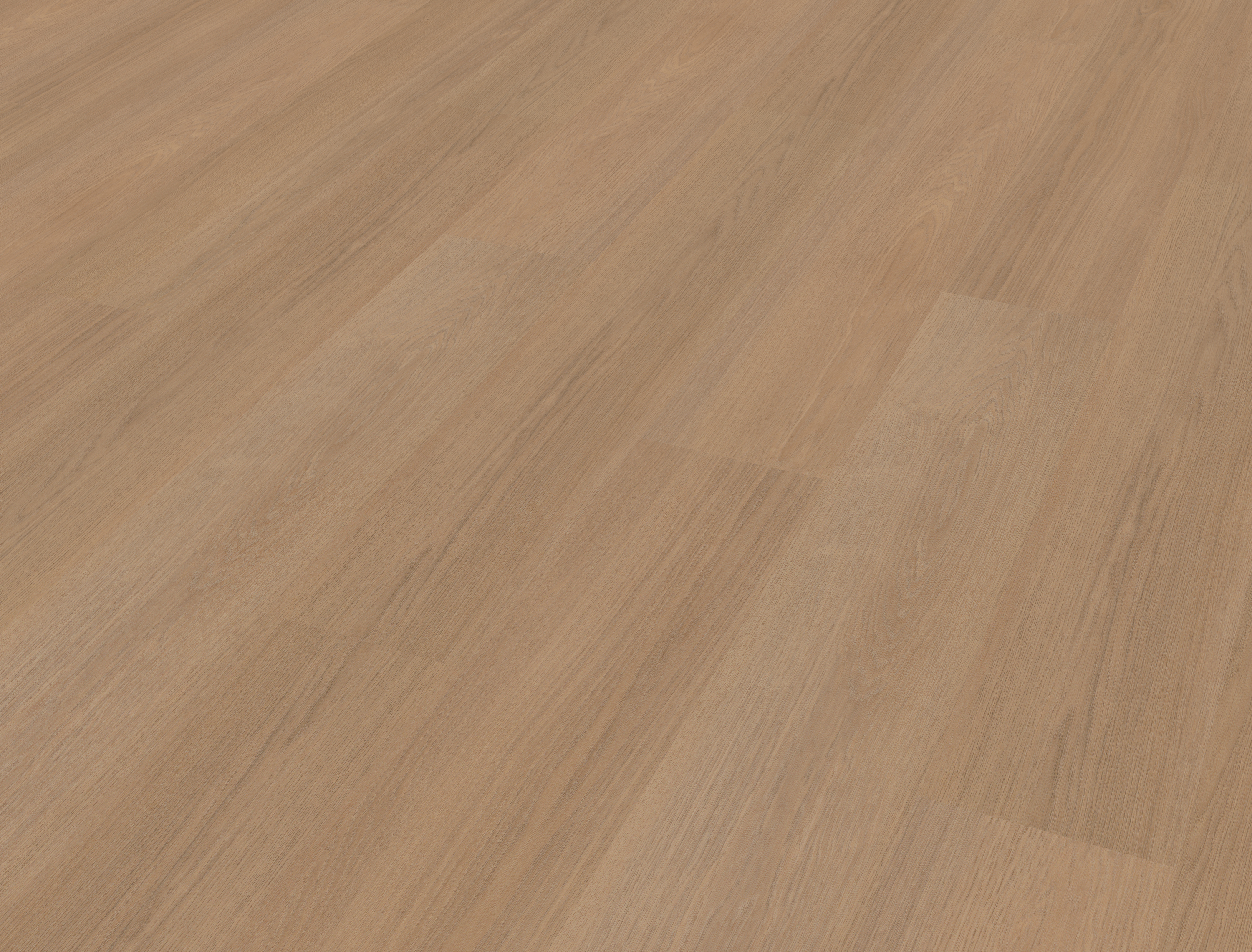 Futuro 500 | Rigid Click